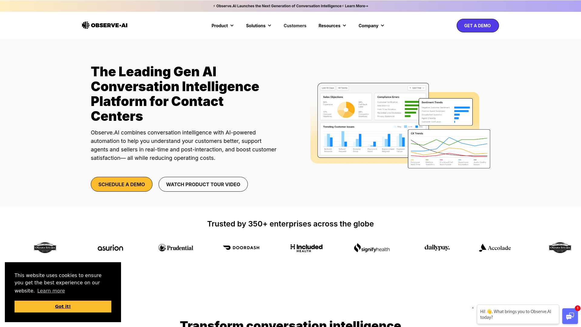Observe AI